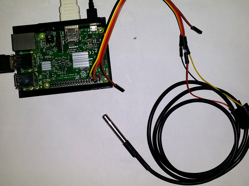 Raspberry Pi DS18B20