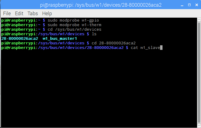 Raspberry Pi DS18B20 Cat Command