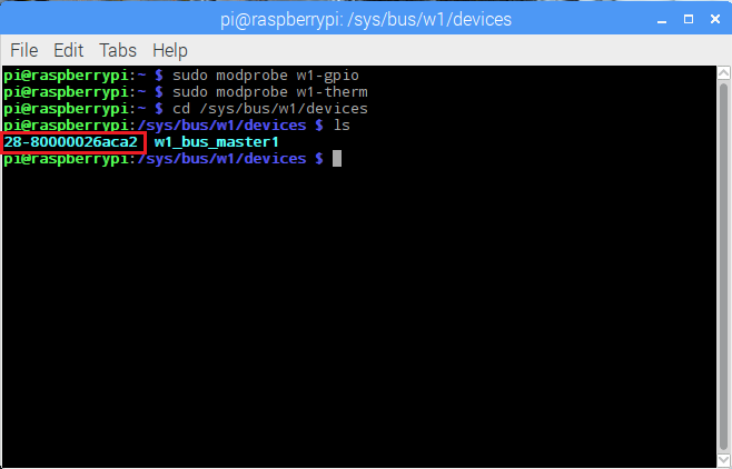 Raspberry Pi DS18B20 Device ID